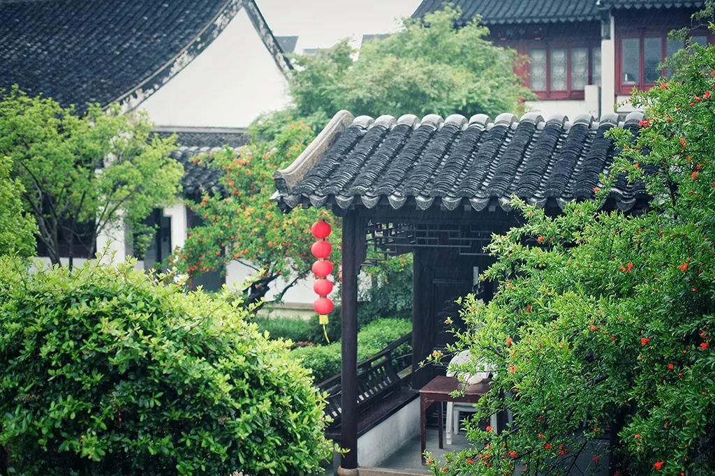 离上海仅1小时,这3座小众安静的江南名园,可惜大多数都没听过!