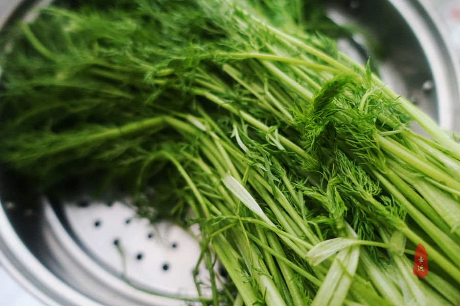 茴香馅肉饺子怎么调馅最好吃,茴香猪肉馅饺子怎么和馅