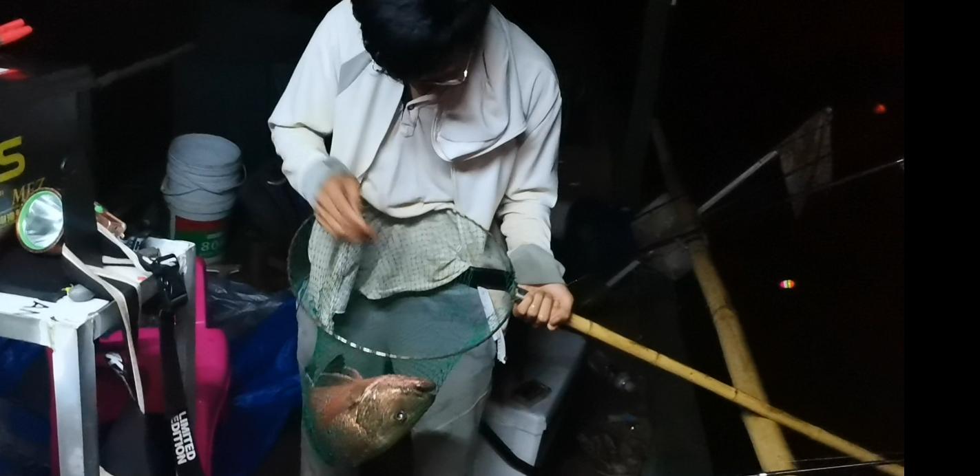 一天钓鱼最多能赚多少钱,一天能赚600-800块钱的工作