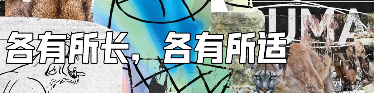 最值得入手的puma鞋,puma值得入手的鞋款