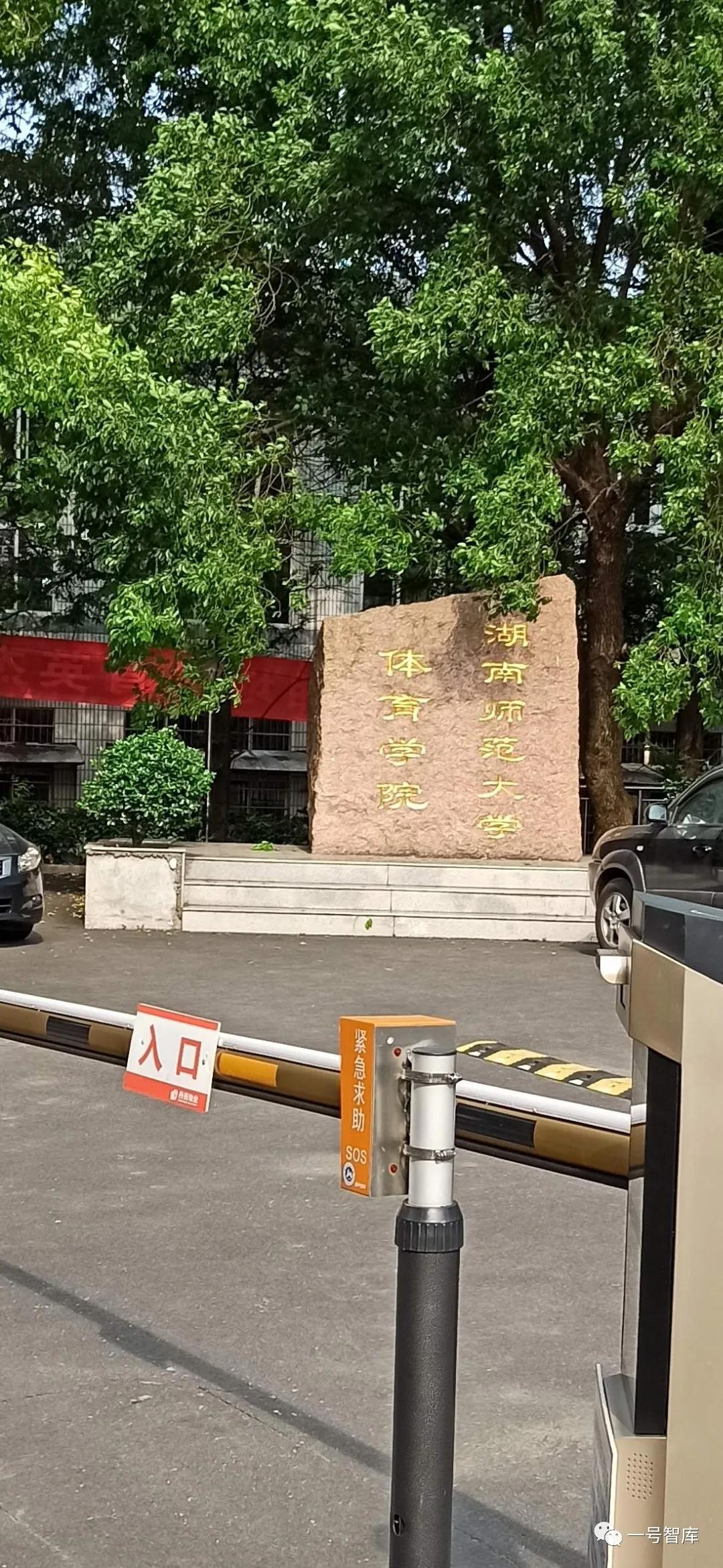 「一号智库」现场直播:体育专业统考来了