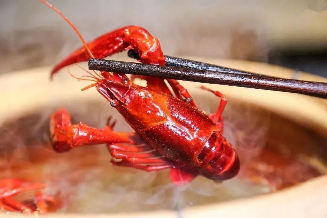 龙虾吃得最多的是哪个地方,全国小龙虾必吃50强