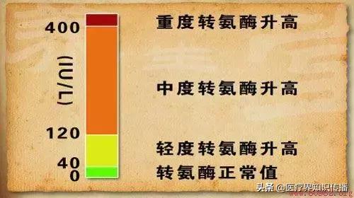 一张图看懂乙肝化验单肝功能正常,肝功能指标怎么查医生来教你
