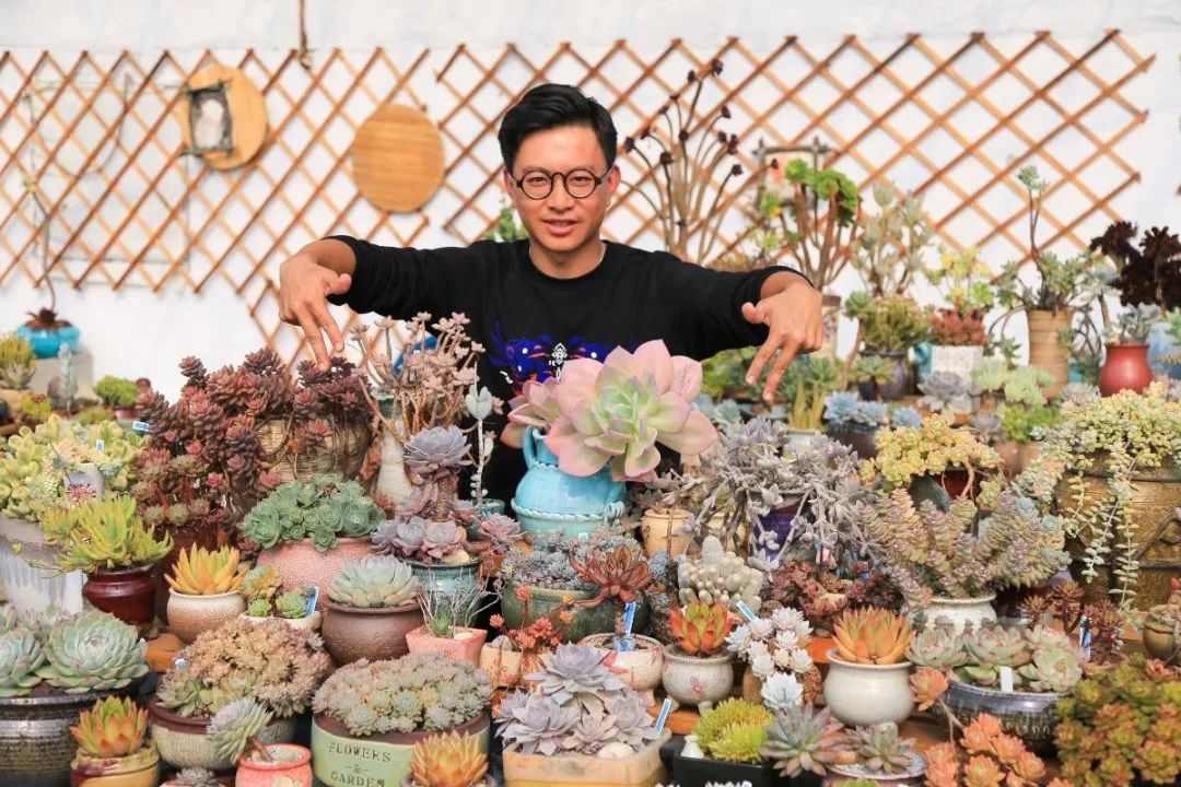 直播卖多肉上百元,小伙卖多肉年入百万