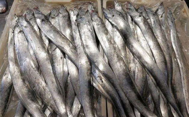 带鱼什么季节吃最好吃,又到吃小鱼的季节
