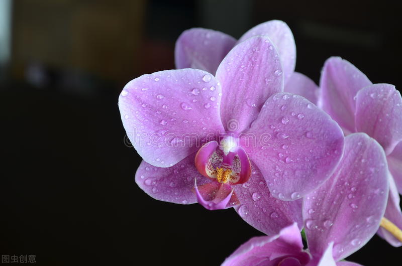 三观不合理的三观指的是哪三观,我们常说的三观不合什么是三观