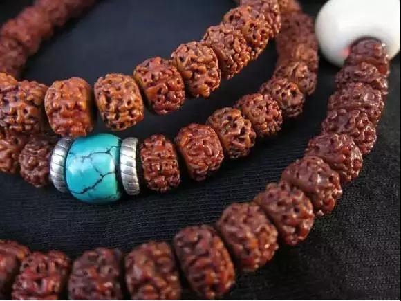 金刚盘花怎么处理,百香籽盘花了怎么办