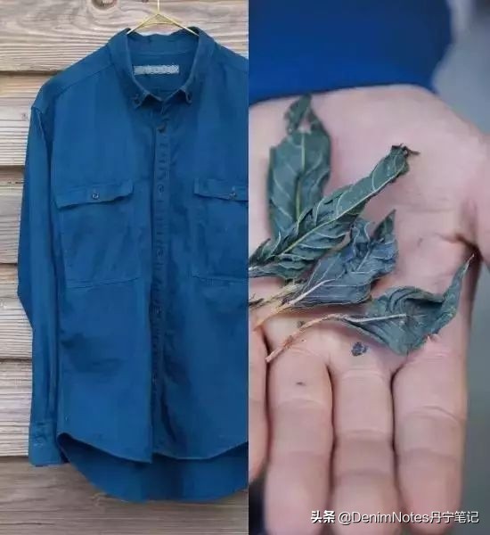 蓝染的正确方法,蓝染方法