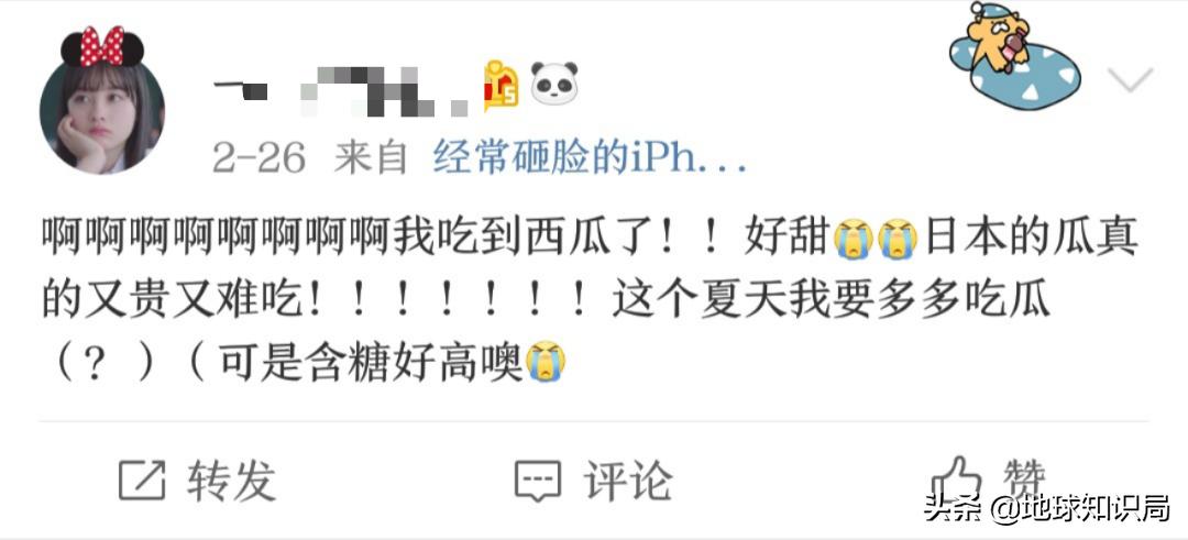 日本西瓜200人民币一个？这背后不为人知的是……|地球知识局