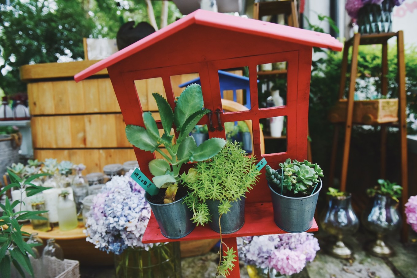 绿色世界花的海洋，在十里芳菲宠爱自己的24小时