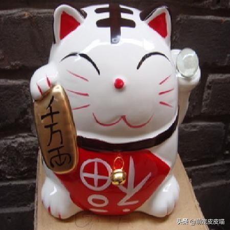 寺庙招财猫,西藏寺庙招财猫