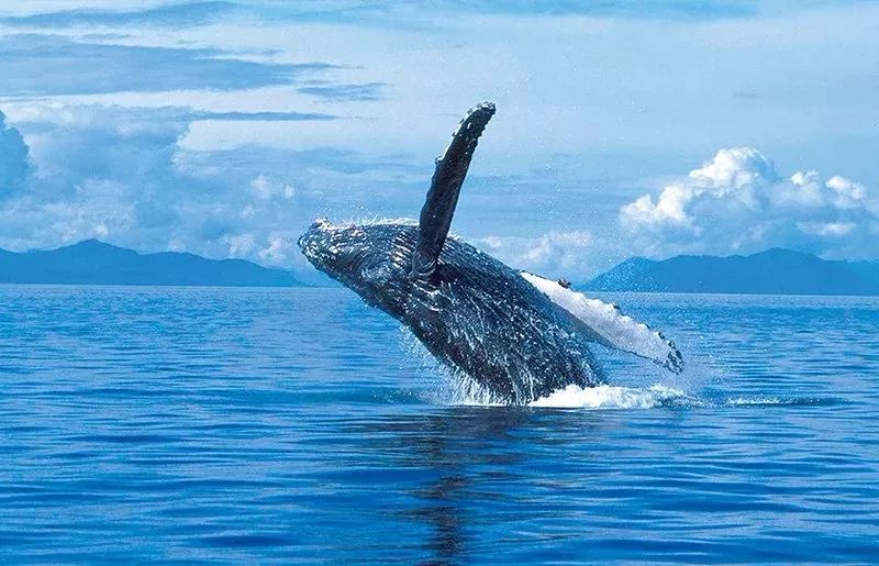 冲绳有啥,冲绳有没有啥