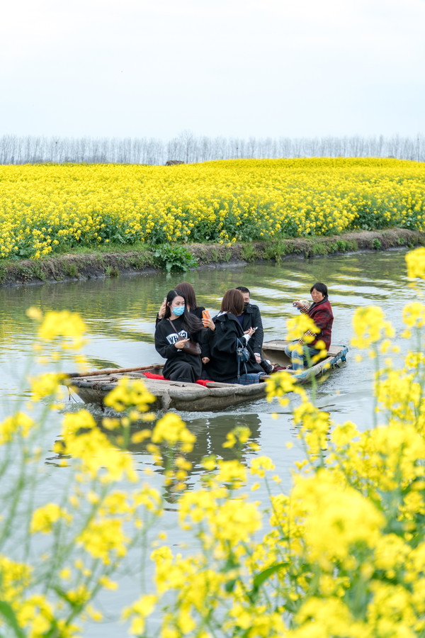 踏春赏花拍美景,踏春赏花逛湖