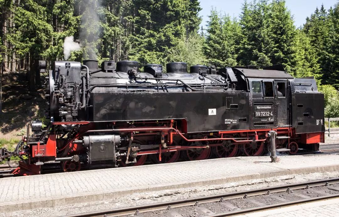 住在童话世界里,住在童话世界里的人