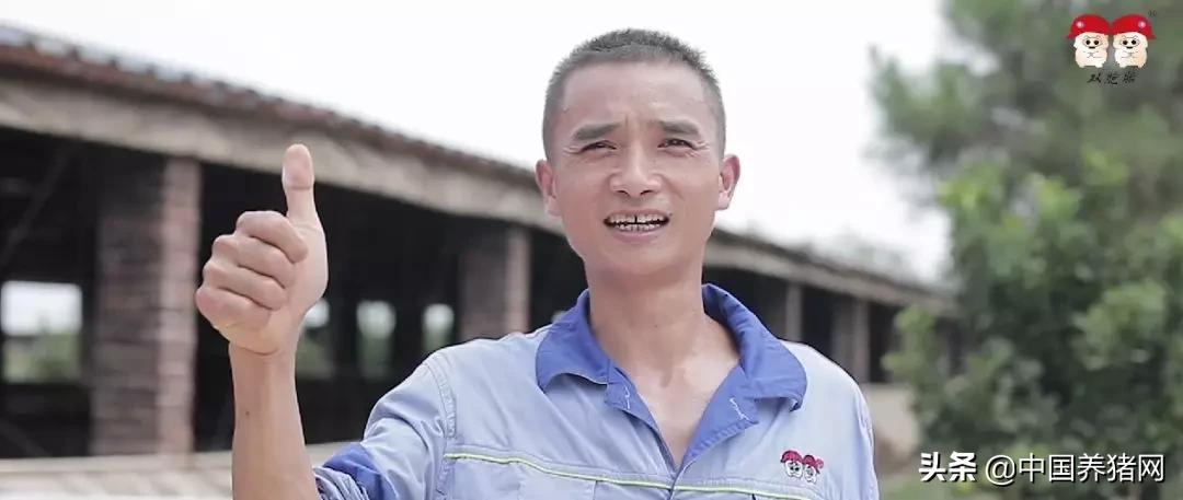 双胞胎饲料公司加农户养猪,和双胞胎合作养猪的利润有多少