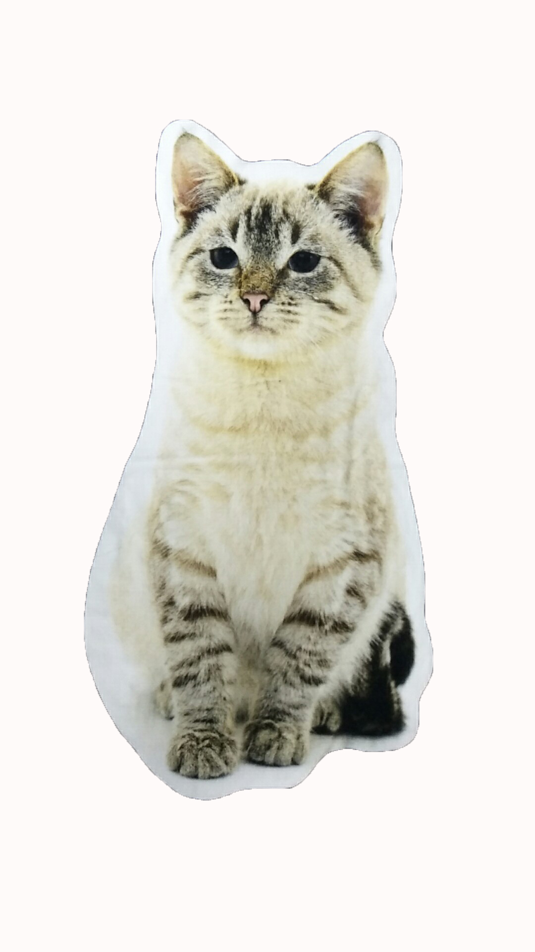 不懒人数码印花毛巾质量好不好？如何检验一条好的毛巾？