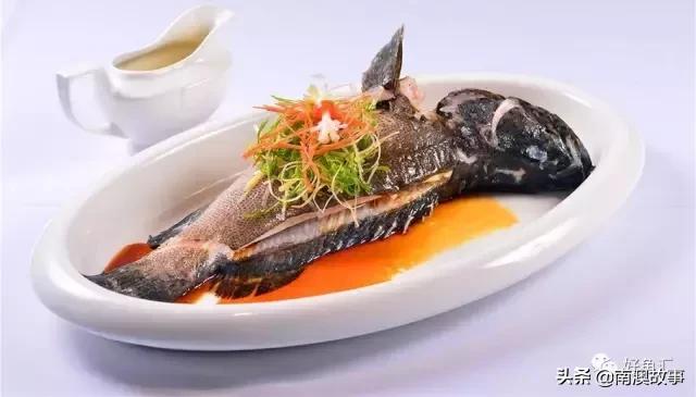 海鱼的做法大全家常视频,海鱼的30种家常做法收藏