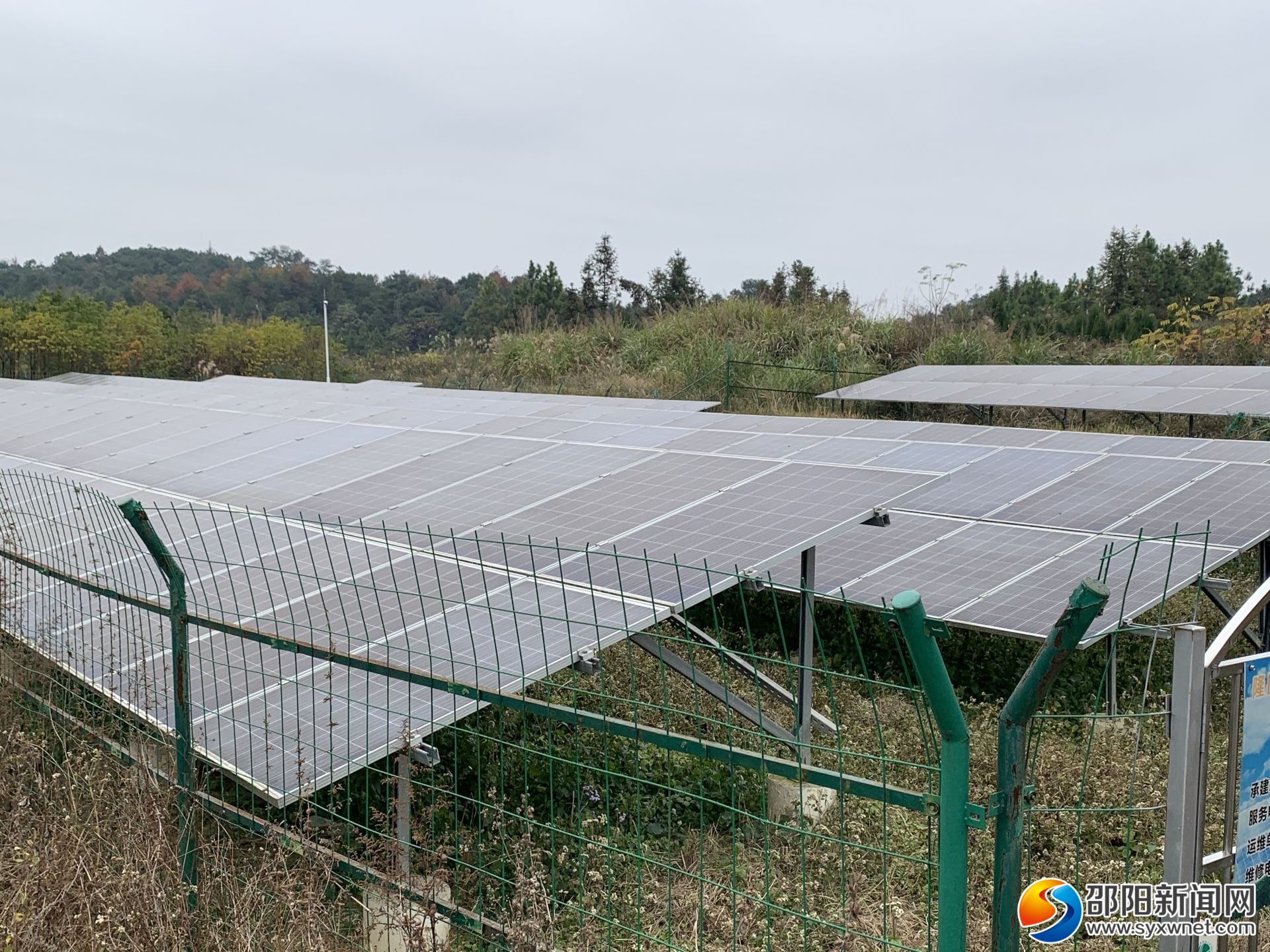 隆回*草烟**：用心用情唱响群众致富小康歌