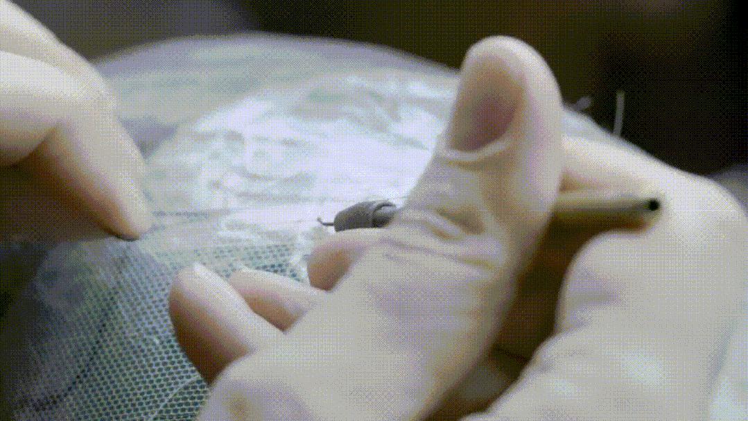 鞠婧祎代言假发混剪视频,鞠婧祎青春环游记假发