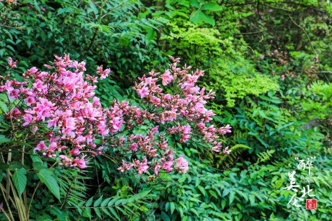 北仑摩天轮俯瞰北仑,可俯瞰北仑