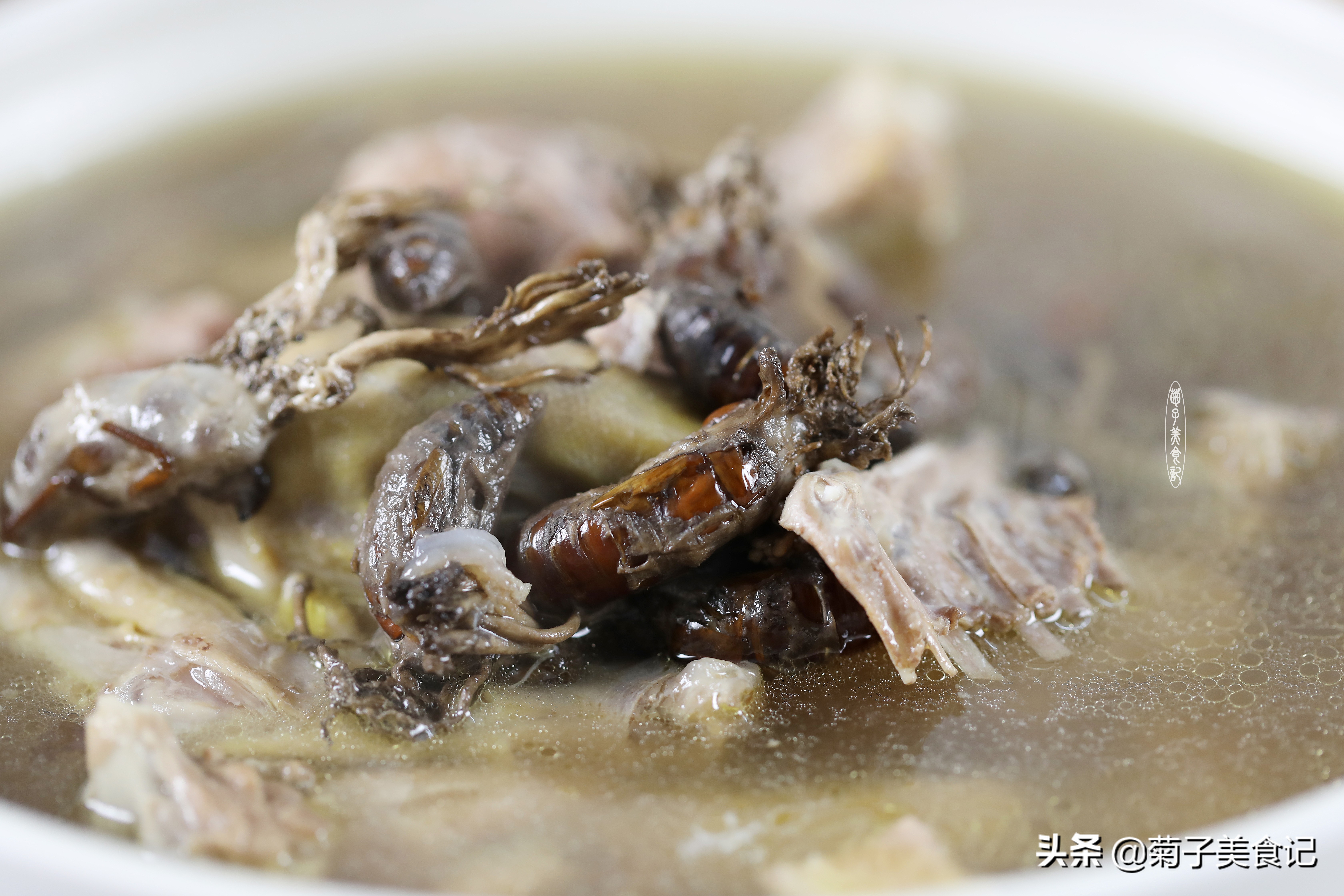 金蝉花煲老鸭汤的营养价值,金蝉花能跟什么药材一起煲老鸭汤