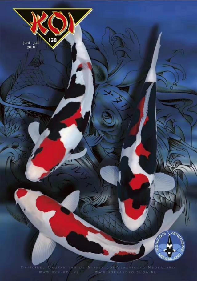 观赏鱼寄生虫杀虫药,观赏鱼杀虫药能随便下吗