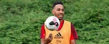 萨老爷子米兰完整视频,萨老爷子