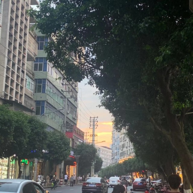 人的心声是绝对不容忽视的：穿越时空的信件