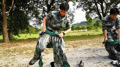 姑娘来当兵完整视频,姑娘我要去当兵了歌曲原唱