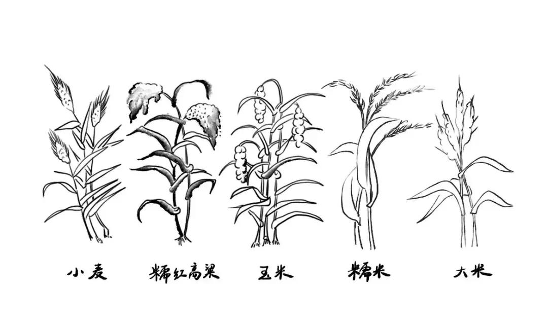 一文读懂中国史,白酒版图