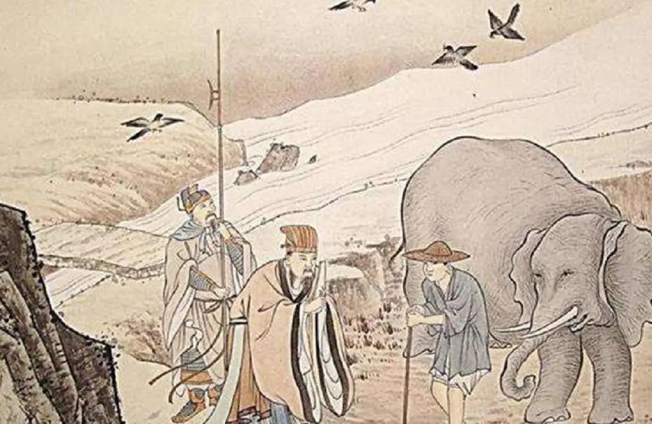 大象迁徙事件始末,大象迁徙为什么又回去了