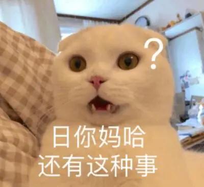 好物分享新手养猫不交智商税,养猫智商税排行榜