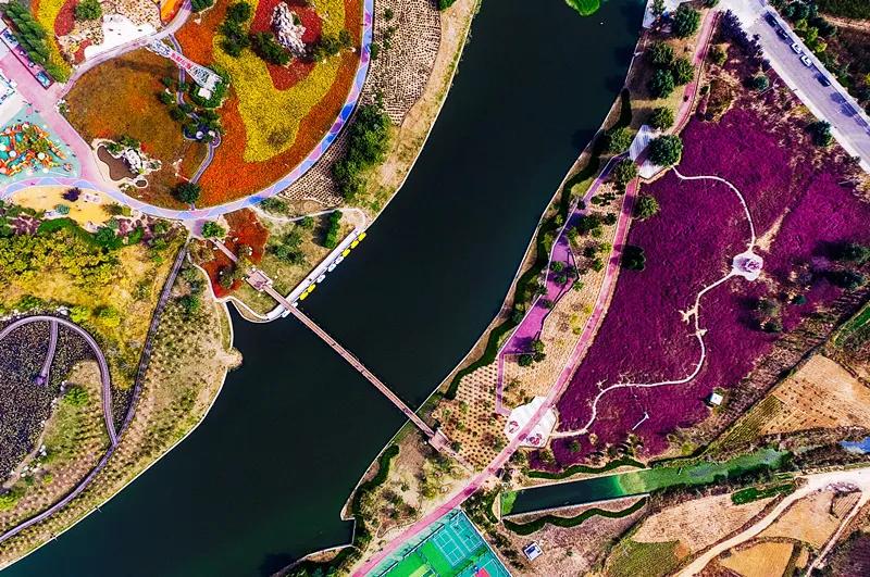 花园洋房玖御壹品,桂花园洋房一楼带院