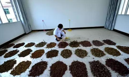 没有工具怎么测量土地,如何判定土壤肥力