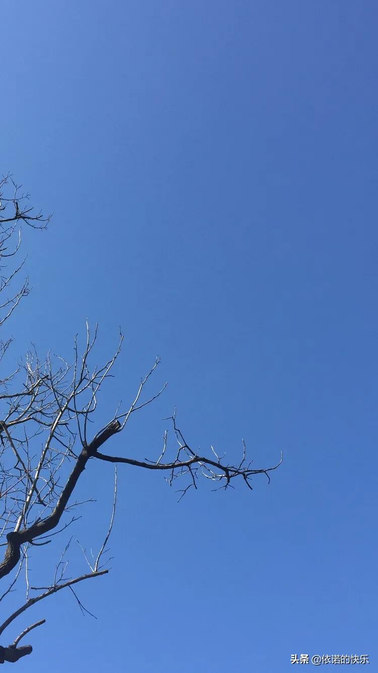 怎样控制食欲让自己不想吃饭,怎样控制食欲最好的方法视频