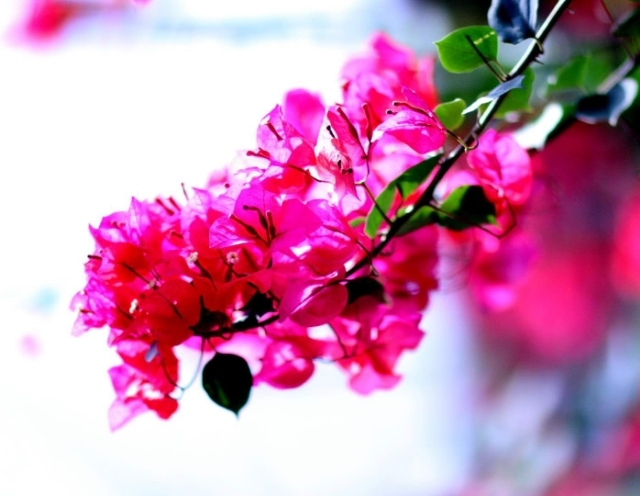 美丽的大连风景区,美丽的大连金州湾