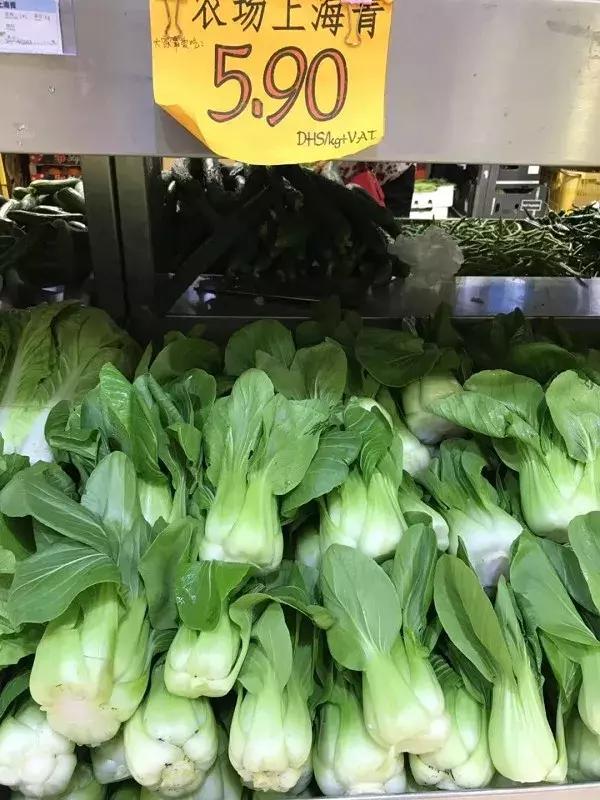 在迪拜生活的有多好,在迪拜普通人打工生活消费高吗