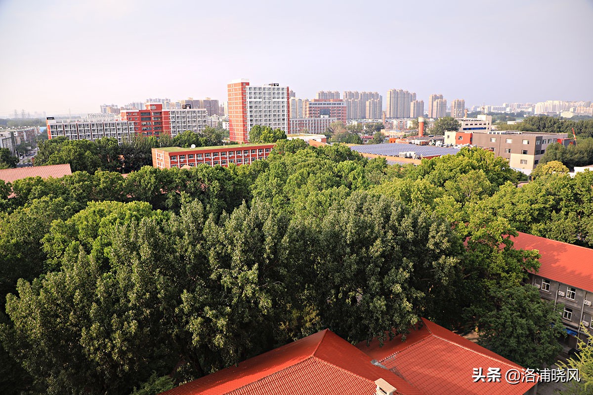 北京二外通州校区,北京二外的小语种有多好