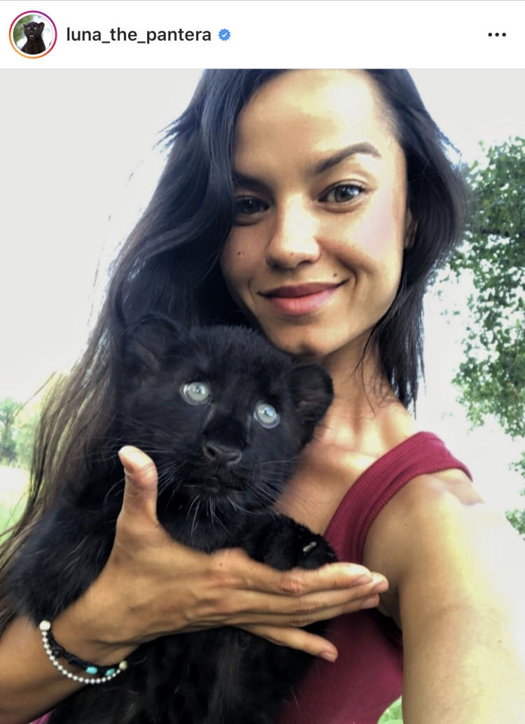 我的萌宠是只猫小说,我的萌宠是中华田园犬