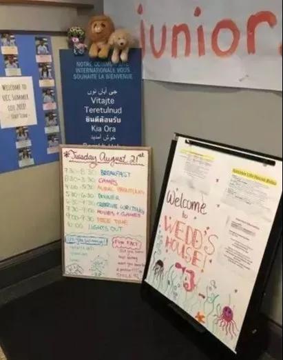 鍔犳嬁澶ч《绾х鏍cc,鍔犳嬁澶ч《绾х鏍′笌绮捐嫳绉佹牎