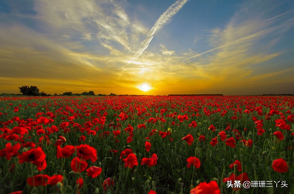 怎么拍出清晰的朝霞,逆光拍摄怎么拍出七彩霞光