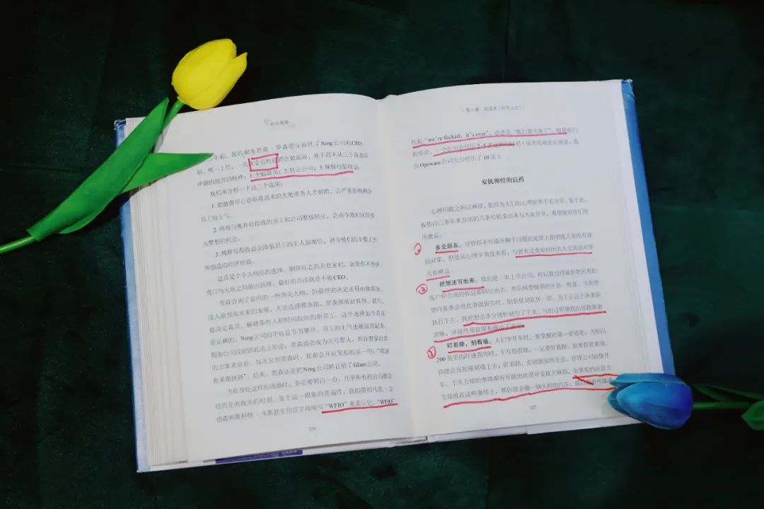 张萌创业助力方式,张萌创业是一场自我的较量