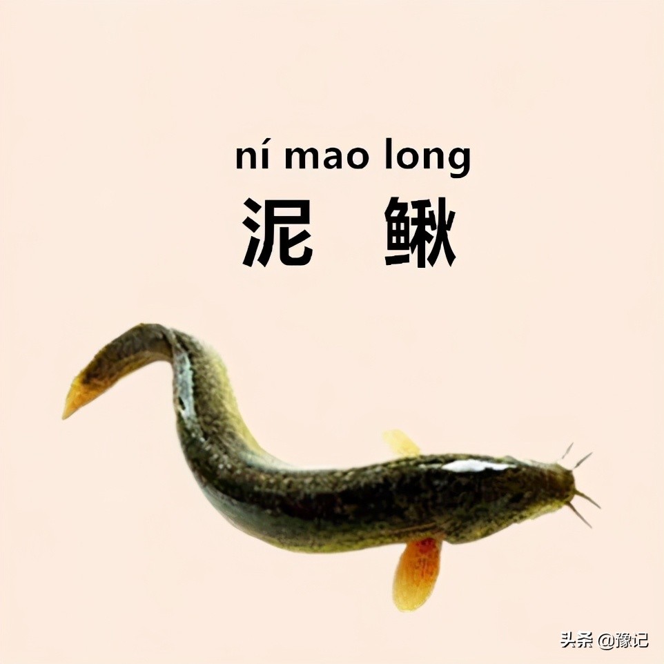 盘点你听不懂的河南方言,盘点25句经典的河南方言