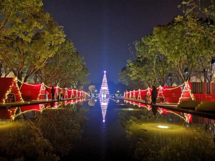 2019年是你最好的一年,2019你该努力了