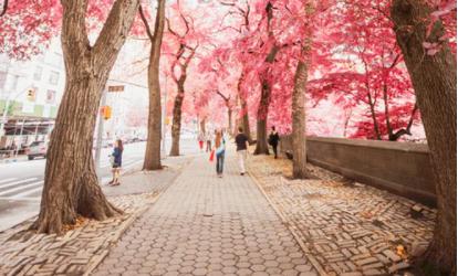 老公唱情歌说明什么,老公唱情歌