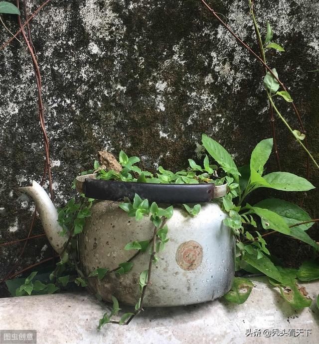 为什么小孩失踪24小时才可以报案,儿童失踪需要等24小时吗