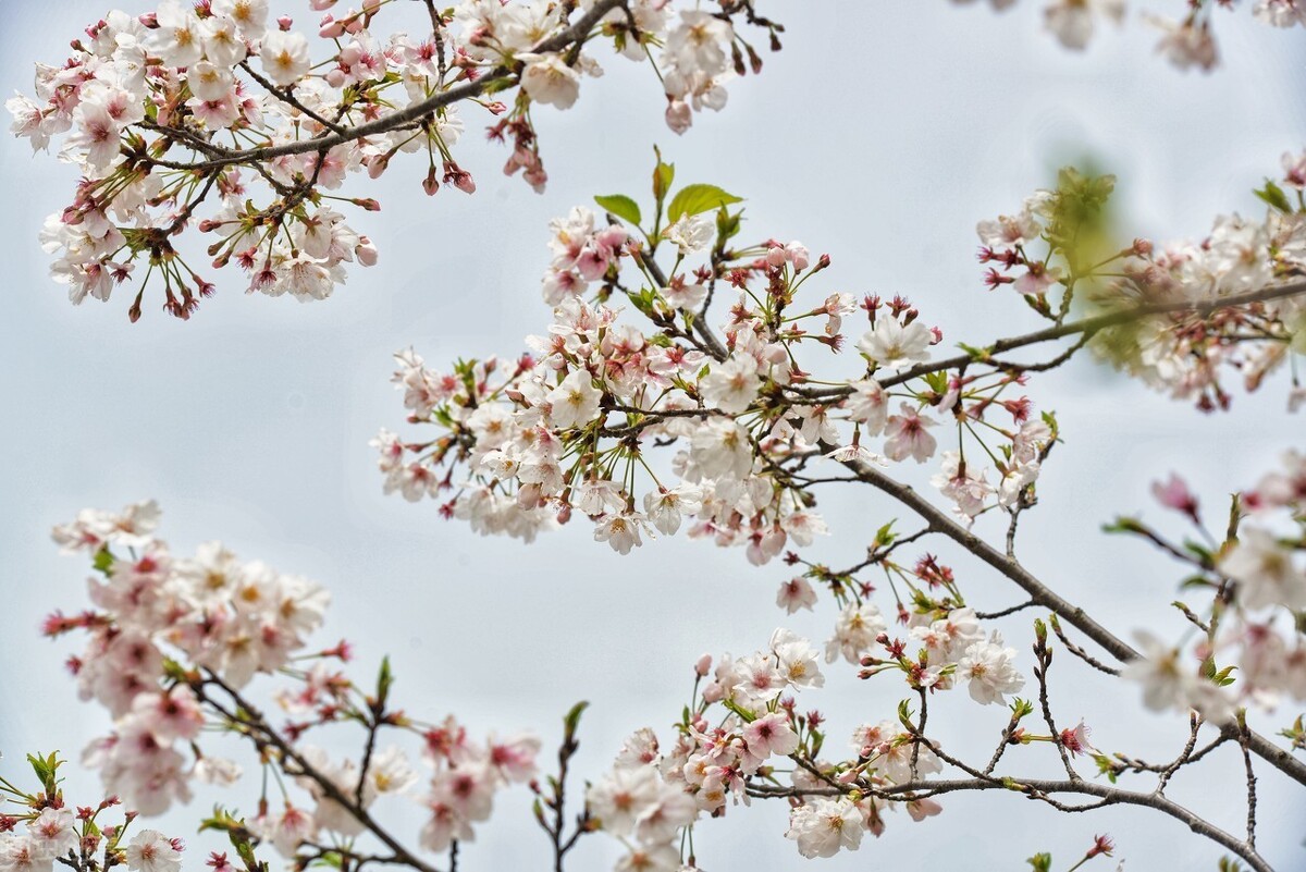 汪卫东教授治疗双相情感障碍,汪教授分享抑郁症有什么治疗方法