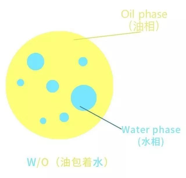 世界顶级手模出镜一次赚4万 (世界最漂亮手模)