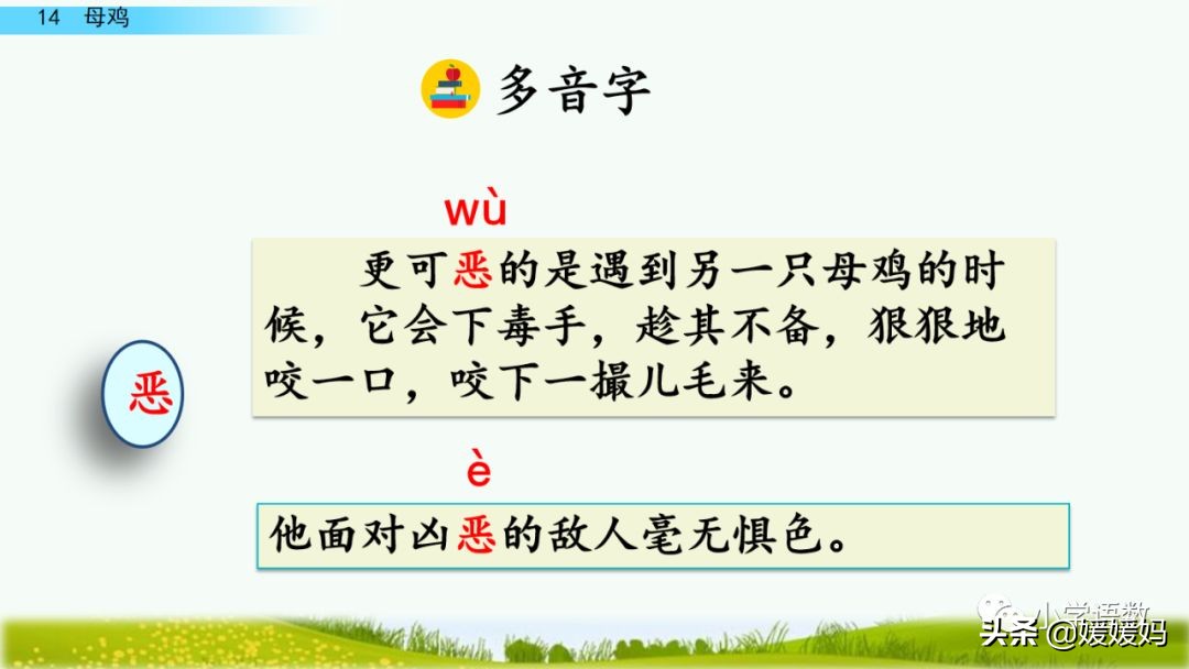 四年级下册第13课小练笔仿写母鸡,四年级下册14课母鸡的预习完整版