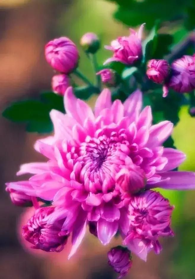 涨姿势为什么叫涨知识,涨姿势怎么解释